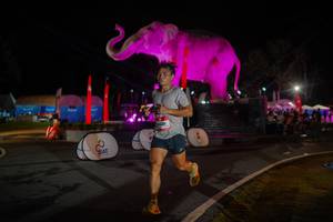 BIB: 
                            <button type="button" onclick="openModal(26552090)" class="btn btn-primary btn-sm float-right btn-popup" data-toggle="modal" data-target=".modal-high-quality">
                        <i class="fas fa-shopping-cart"></i> Add to Cart
                    </button>
                                            <button type="button" onclick="isThisMe(26552090, true)" class="btn btn-success btn-sm float-right btn-popup btn-isme hidden" data-toggle="tooltip" data-placement="bottom" title="นี่คือรูปของคุณใช่ไหม คลิกที่นี่เพื่อเอาเข้าอัลบั้ม">
                        <i class="fas fa-plus"></i> Add to album
                    </button>
                    <button type="button" onclick="isThisMe(26552090, false)" class="btn btn-warning btn-sm float-right btn-popup btn-isnotme hidden">
                        <i class="fas fa-ban"></i> Remove from album
                    </button>